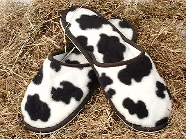 Fun Printed Slippers