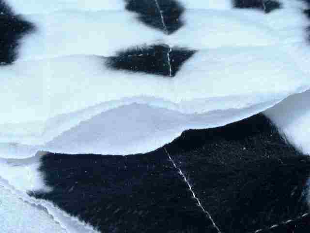 Making Vamps